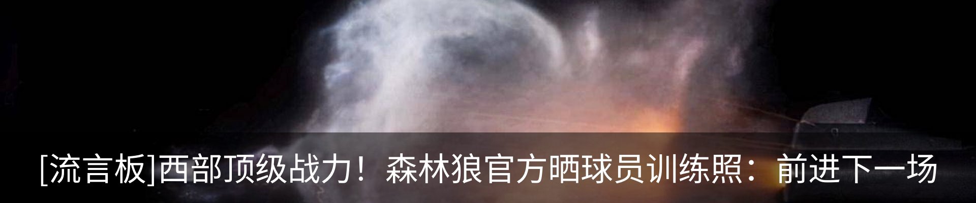 最新动态